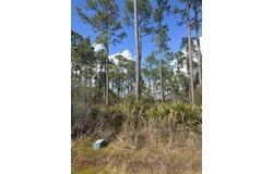 Surf Road/lot 23, Panacea, FL 32346