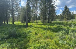 4095 Icehouse Creek Road, Island Park, ID 83429
