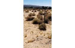 Chloride, Newberry Springs, CA 92365
