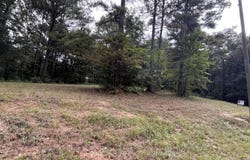 0 PARCEL#1 BECK Dr, Double Springs, AL 35553