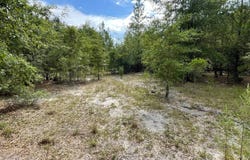 TBD Rivers Hill Road, Varnville, SC 29944