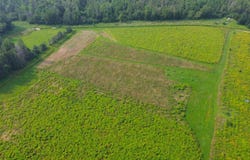0 Highway 45, Deerbrook, WI 54424