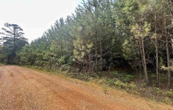 0 VALLEY ROAD, GOODWATER, AL 35072