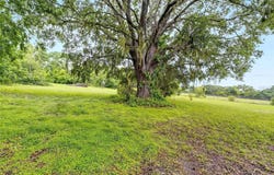 9635 JOE EBERT ROAD, SEFFNER, FL 33584