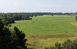 00 County Road 2180, Grapeland, TX 75844