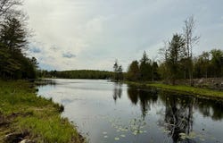 224  Willie Road, Johnstown, NY 12078