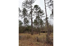 223 Hill Road, Lyons, GA 30436
