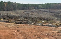 CR 442, PARIS, MS 38949