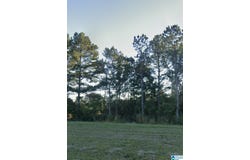 6320 W HIGHWAY 280 lot: 0, HARPERSVILLE, AL 35078