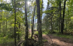 28 ACRES EAST BAY ROAD, PRESQUE ISLE, WI 54557
