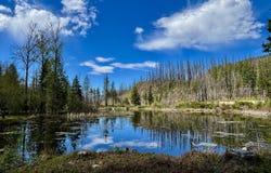 54432 MCKENZIE Hwy, McKenzieBridge, OR 97413