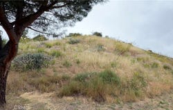 10001 Roscoe Blvd, Sun Valley, CA 91352
