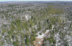 TBD Trafton Road, Parkman, ME 04443