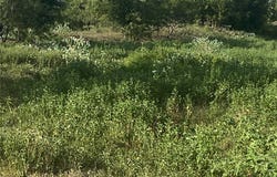 County Road 3254, Mount Calm, TX 76673