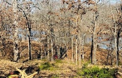 Falcon Lane, Eufaula, OK 74432