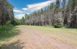 Lot D HOMERS RD, Mercer, WI 54547