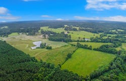 1648 Rosevine Rd., San Augustine, TX 75972