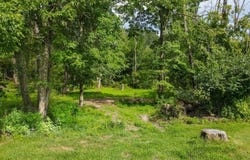 Florence Ln, Andover Twp., NJ 07860