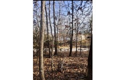 41 Winnebago, Cherokee Village, AR 72529