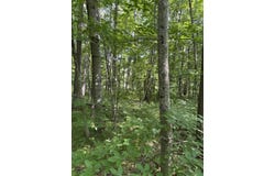 3628 Indian Trail Crossing, Hersey, MI 49639