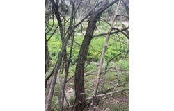4908 Arrowhead DR, Lago Vista, TX 78645