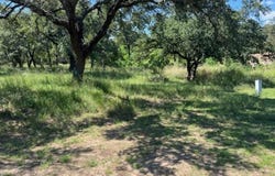 W1114 Blister Gold, Horseshoe Bay, TX 78657