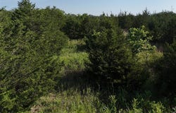 0013 FM 2675, Enloe, TX 75441
