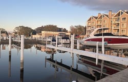298 Peninsula D, New Buffalo, MI 49117