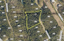 1175 Hidden Cove Lane, Connelly Springs, NC 28612