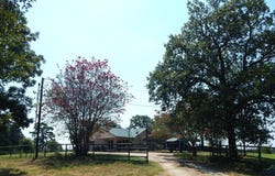 441 PR 8571, Winnsboro, TX 75494