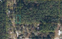 17847 LIL DIXIE DRIVE, SANDERSON, FL 32087