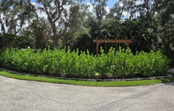 374 BEAR TRAIL, RIVER RANCH, FL 33867