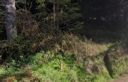 71 Parkview Road, Whitethorn, CA 95589
