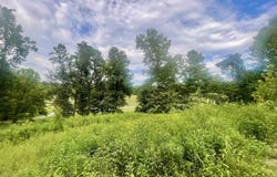 Malcolm Road, Barboursville, WV 25504