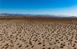 Alpine Avenue, 29 Palms, CA 92277