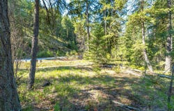 6XX PALMER LN, CHEWELAH, WA 99109