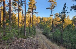 27317 Flagstone Road, Hot Springs, SD 57747