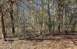 2890 Bend K Drive, Dalzell, SC 29040