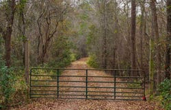 3901 Hardscrabble Road, Columbia, SC 29223