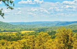 178 Paw Paw Ridge Road, Hardy, AR 72542