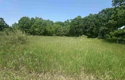1035 Bonanza Lane, Weidman, MI 48893