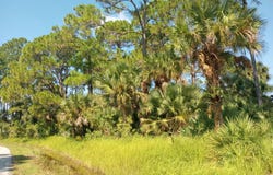 1042 Savery Road, Palm Bay, FL 32908