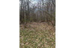 955 Woodland Rd, Sidney Center, NY 13839
