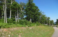 83-85 ADAM Loop, Bath Springs, TN 38311