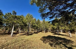 1801 S Sam Houston Boulevard, Houston, MO 65483