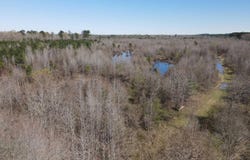 Camden Hwy, Prescott, AR 71875
