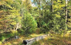 Schroon Hill, Kerhonkson, NY 12446