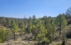 3326 Black Canyon Road, Heber, AZ 85928