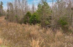 Cowpens Pacolet Road, Spartanburg, SC 29307