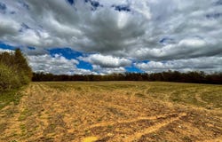 5911 Baseline Road, Grand Junction, MI 49056